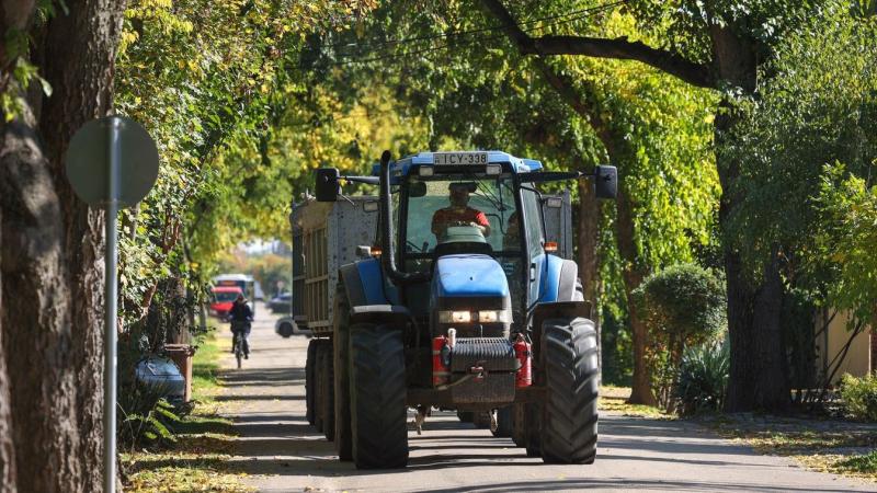 Meglepő! Ennyire figyelmetlenek lennének a hajdú-bihari autósok?