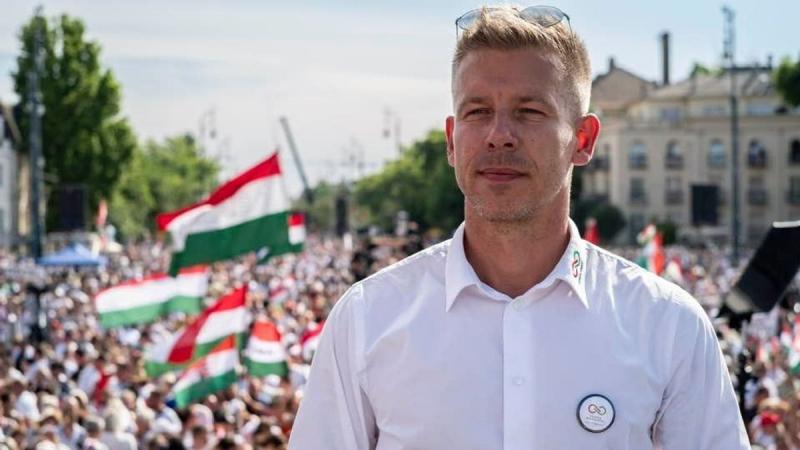 Ceglédi Zoltán: Hát tényleg ennyire elmentek az eszüknél!?
